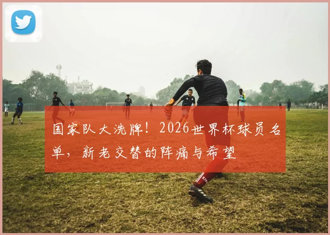国家队大洗牌！2026世界杯球员名单，新老交替的阵痛与希望