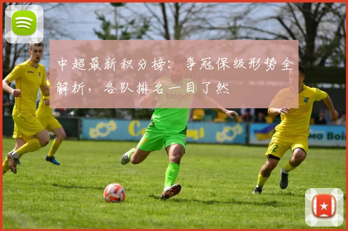 中超最新积分榜：争冠保级形势全解析，各队排名一目了然
